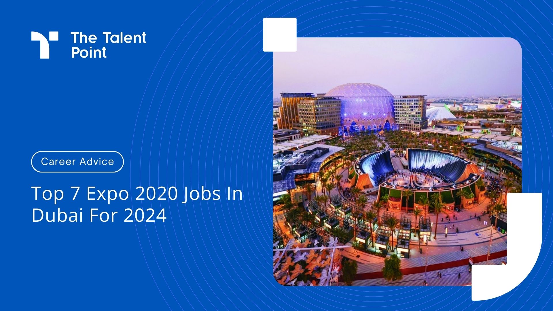 Top 7 Expo 2020 Jobs In Dubai For 2024